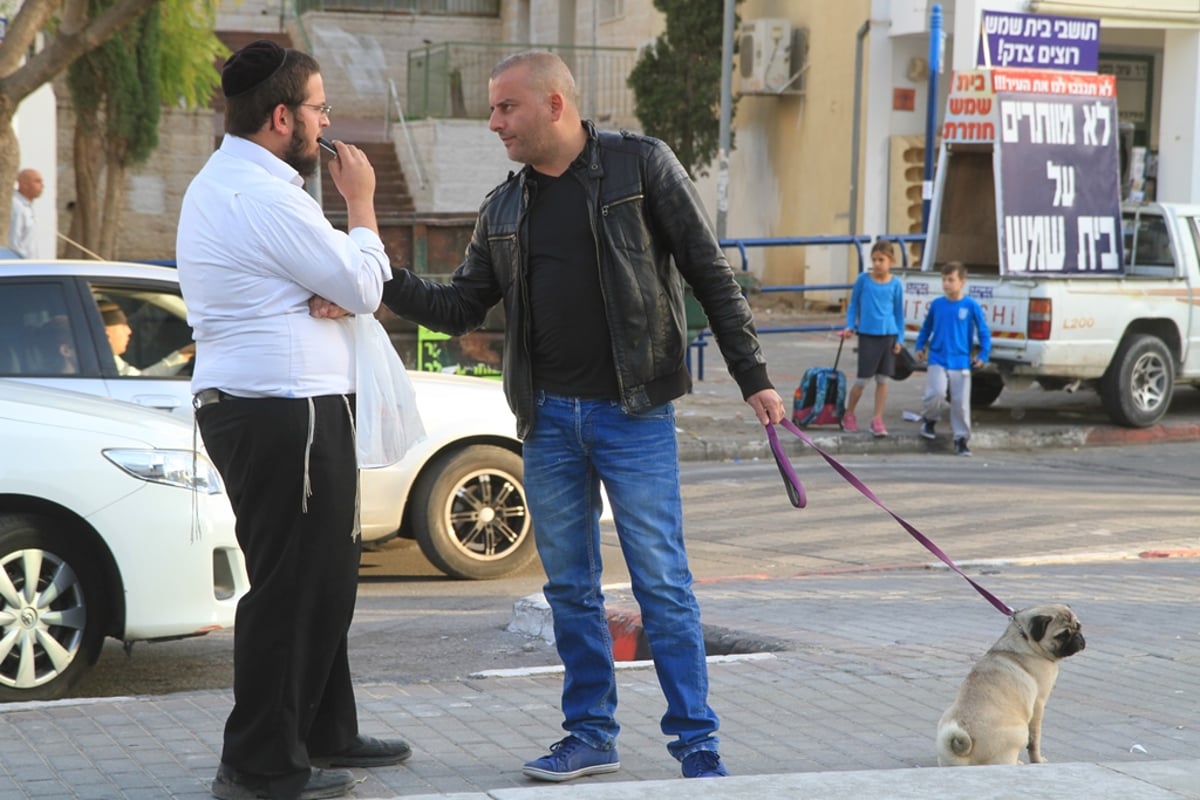 שנאת חרדים בבית שמש: "זבלה, תחזרו לבני ברק"