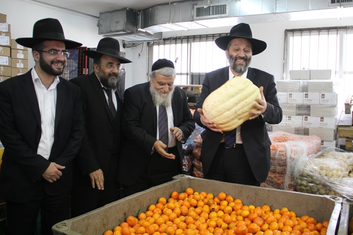 דרעי: נגמר חופש הפעולה הטכני ברשת החינוך של ש"ס