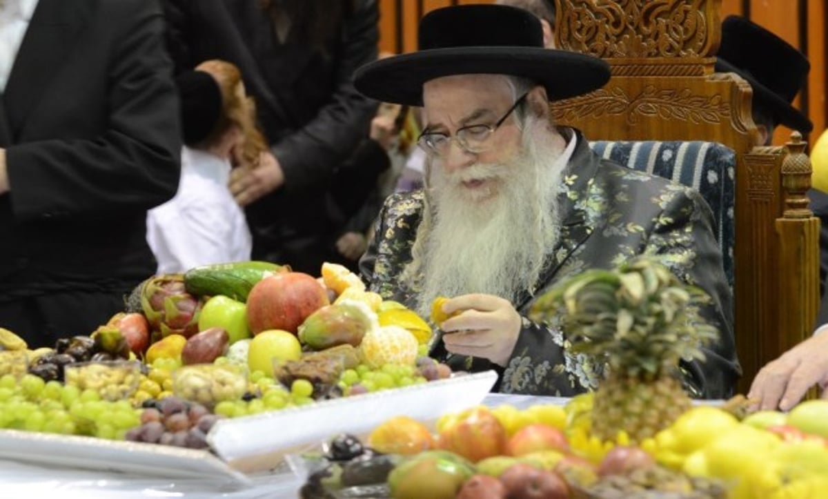 תיעוד מרהיב: ט"ו בשבט בצאנז