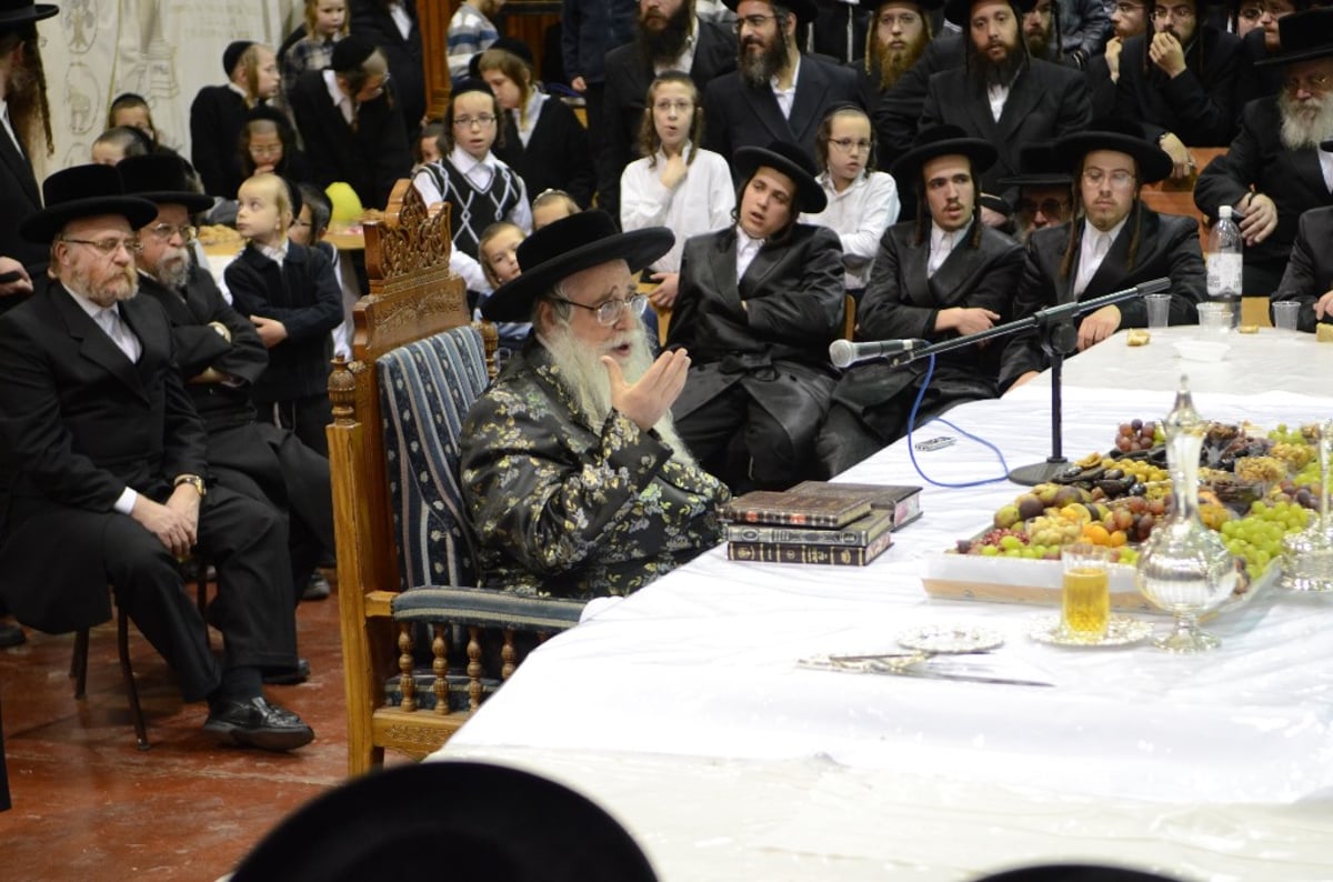 תיעוד מרהיב: ט"ו בשבט בצאנז