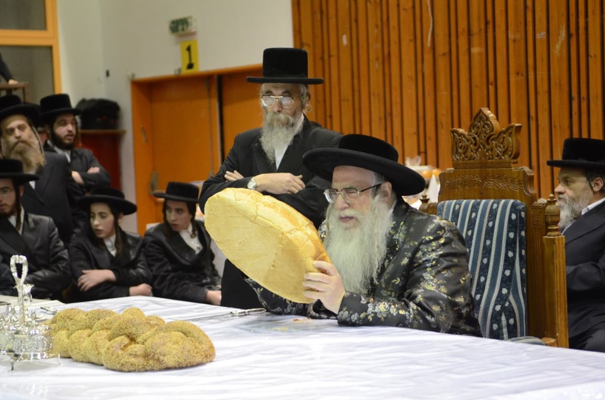 תיעוד מרהיב: ט"ו בשבט בצאנז