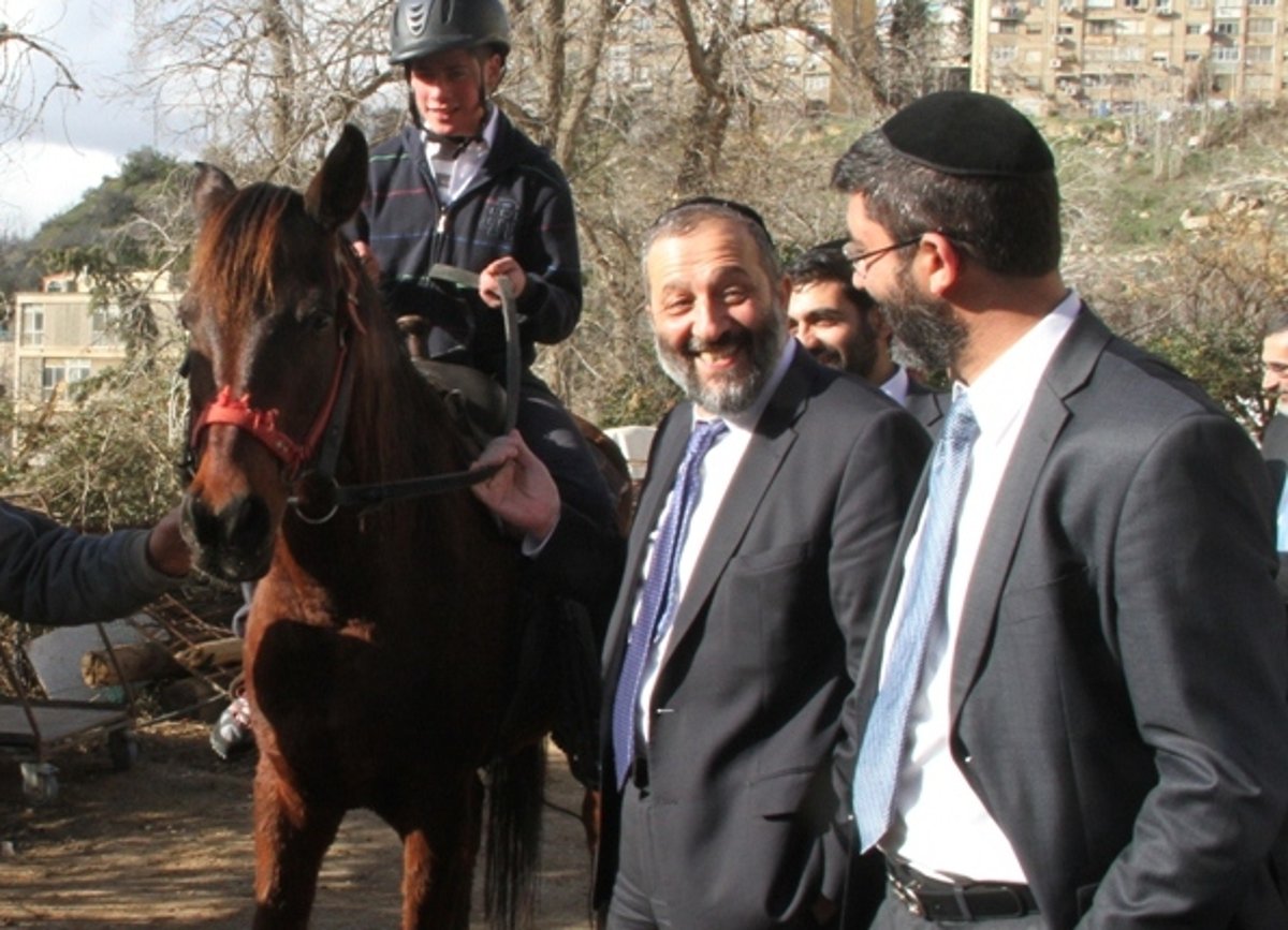 דהרו על הסוסים. דרעי והנערים