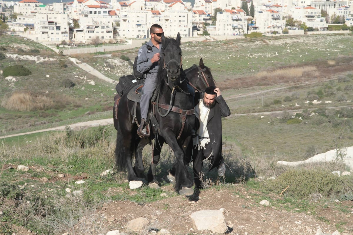 בית שמש: עשרות מחו על חילול קברים לטענתם במתחם גולובנציץ