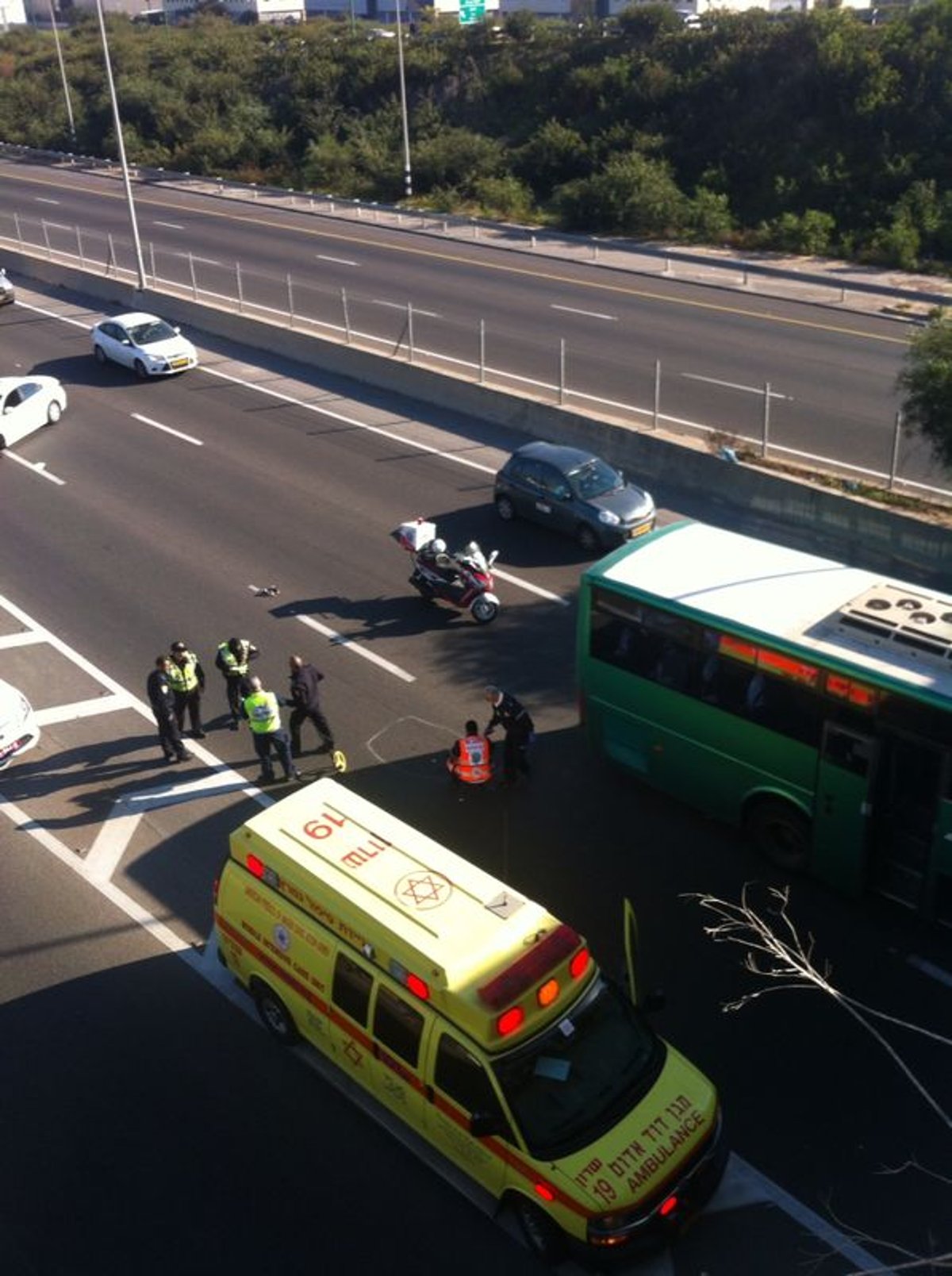 כביש 2: צעיר נפגע מאוטובוס ונהרג