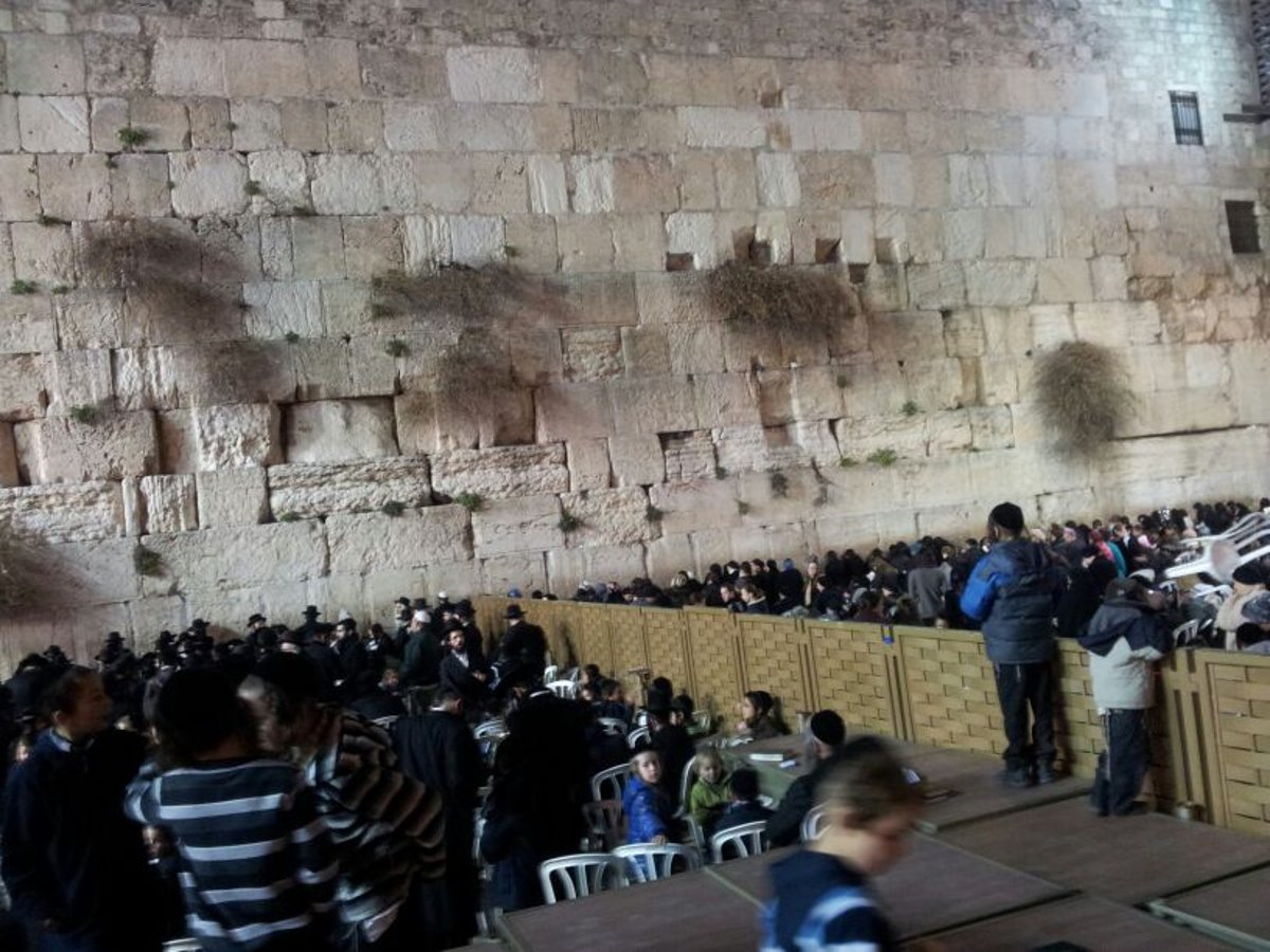 תיעוד: תפילה שהרב אליעזר ברלנד יחזור לארץ