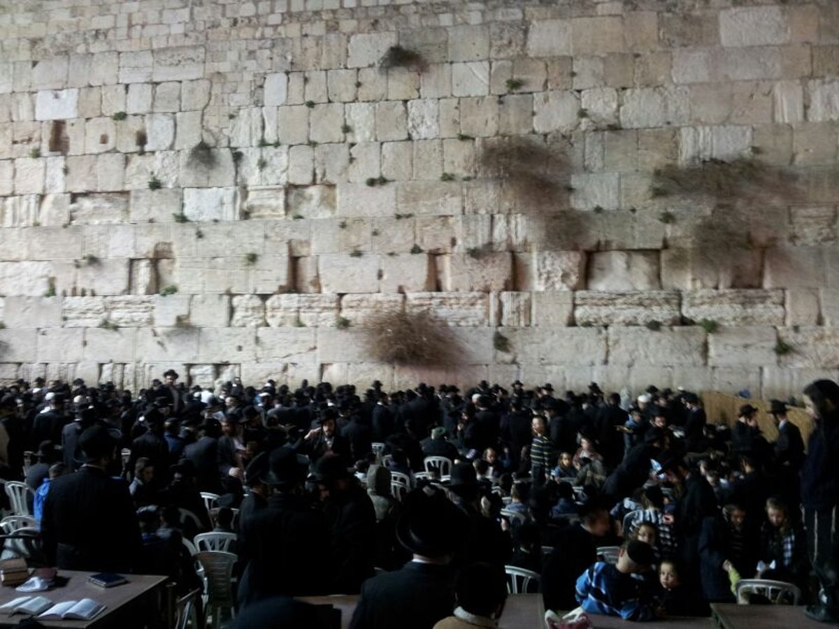 תיעוד: תפילה שהרב אליעזר ברלנד יחזור לארץ