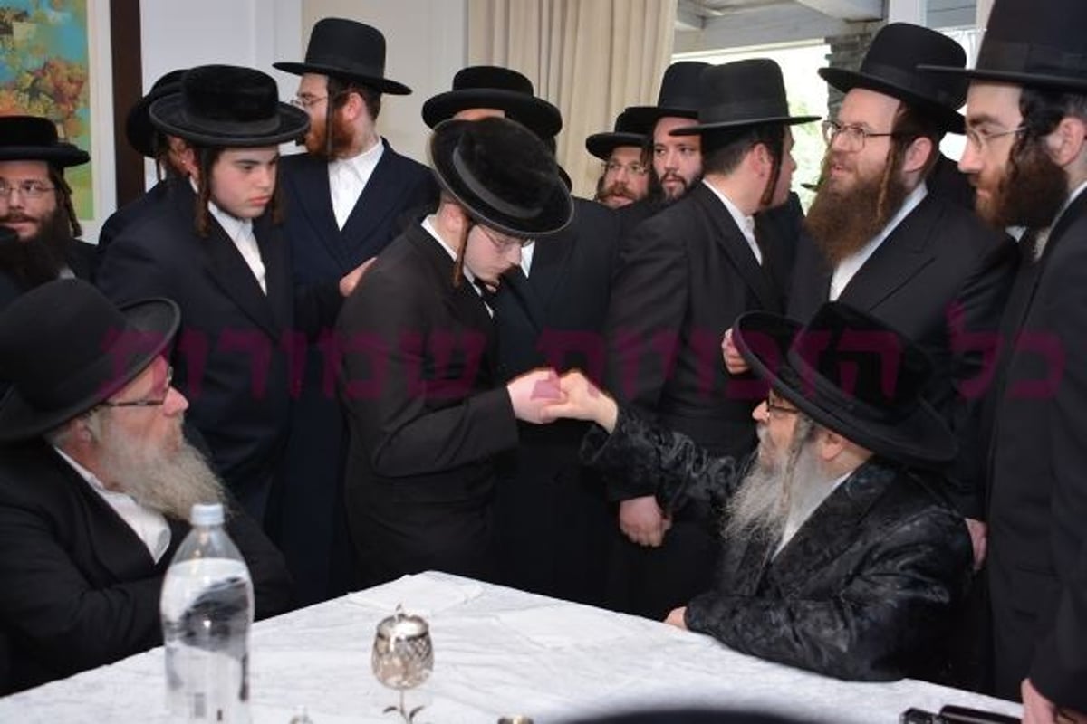 גלריה: האדמו"ר מסאטמר בישראל