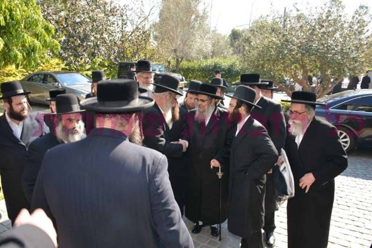 גלריה: האדמו"ר מסאטמר בישראל