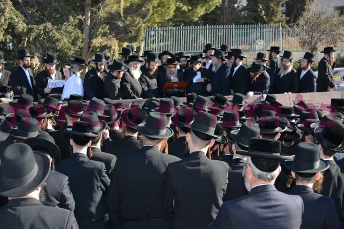 האדמו"ר מסאטמר: "נמסור את הנפש למען התורה, נקבל באהבה מכות רצח"