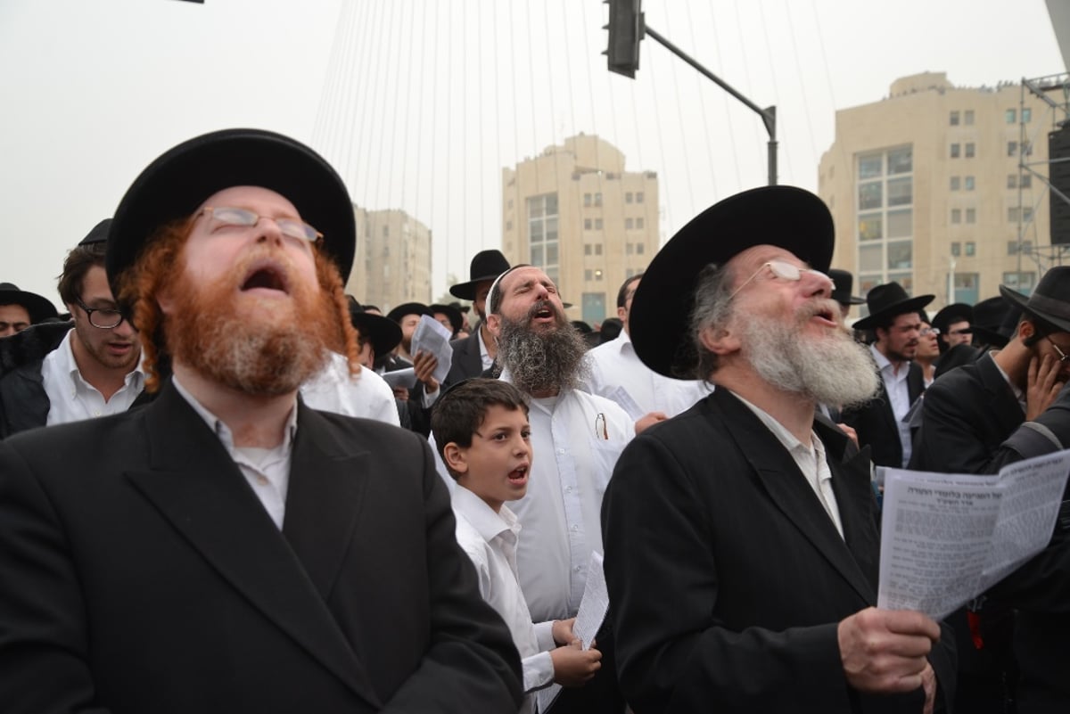 גלריה מרהיבה: מאות האלפים בעדשת אלי סגל