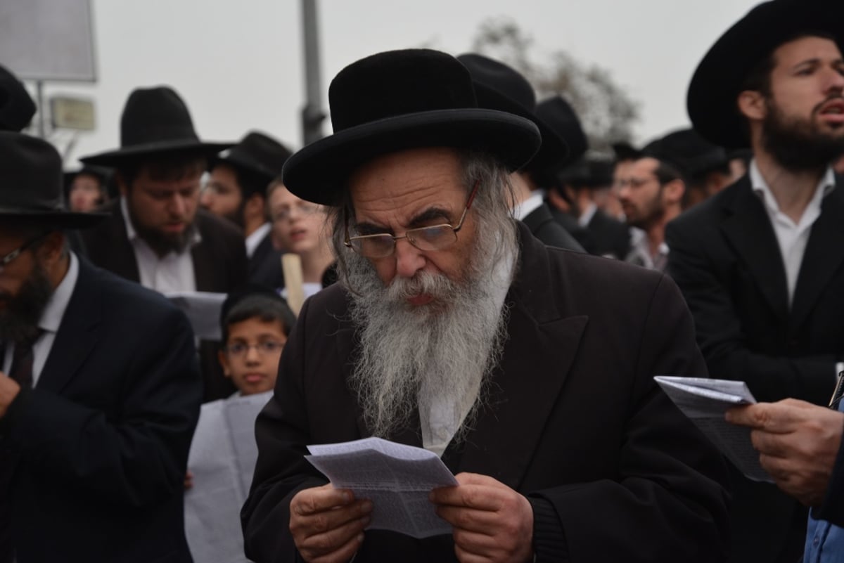 גלריה מרהיבה: מאות האלפים בעדשת אלי סגל