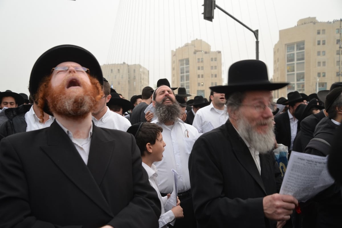 גלריה מרהיבה: מאות האלפים בעדשת אלי סגל