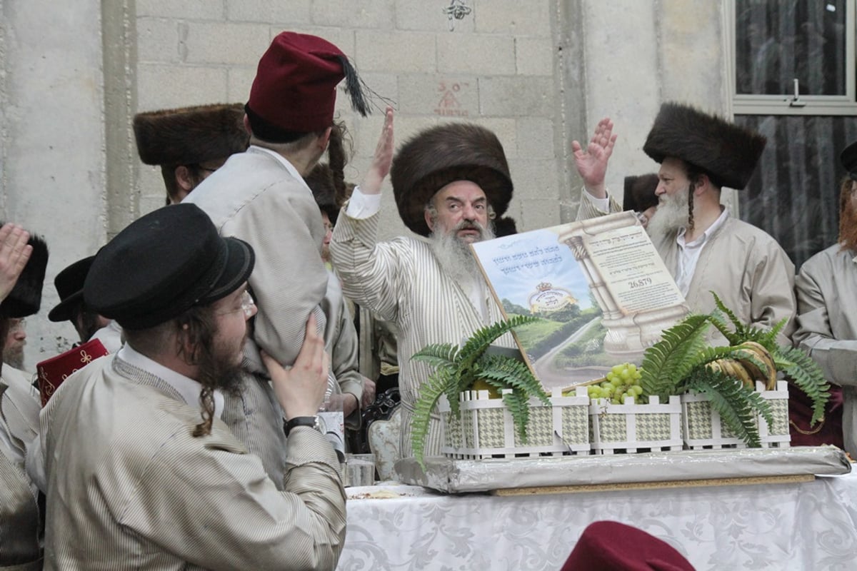 שמחה פורימית בחצר לעלוב • וידאו ותמונות