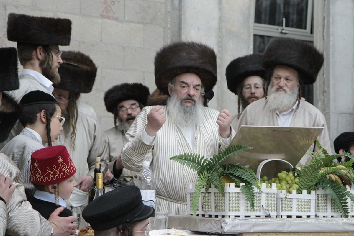 שמחה פורימית בחצר לעלוב • וידאו ותמונות