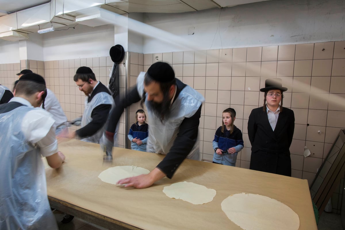 תיעוד: אפיית מצות בחסידות בעלזא