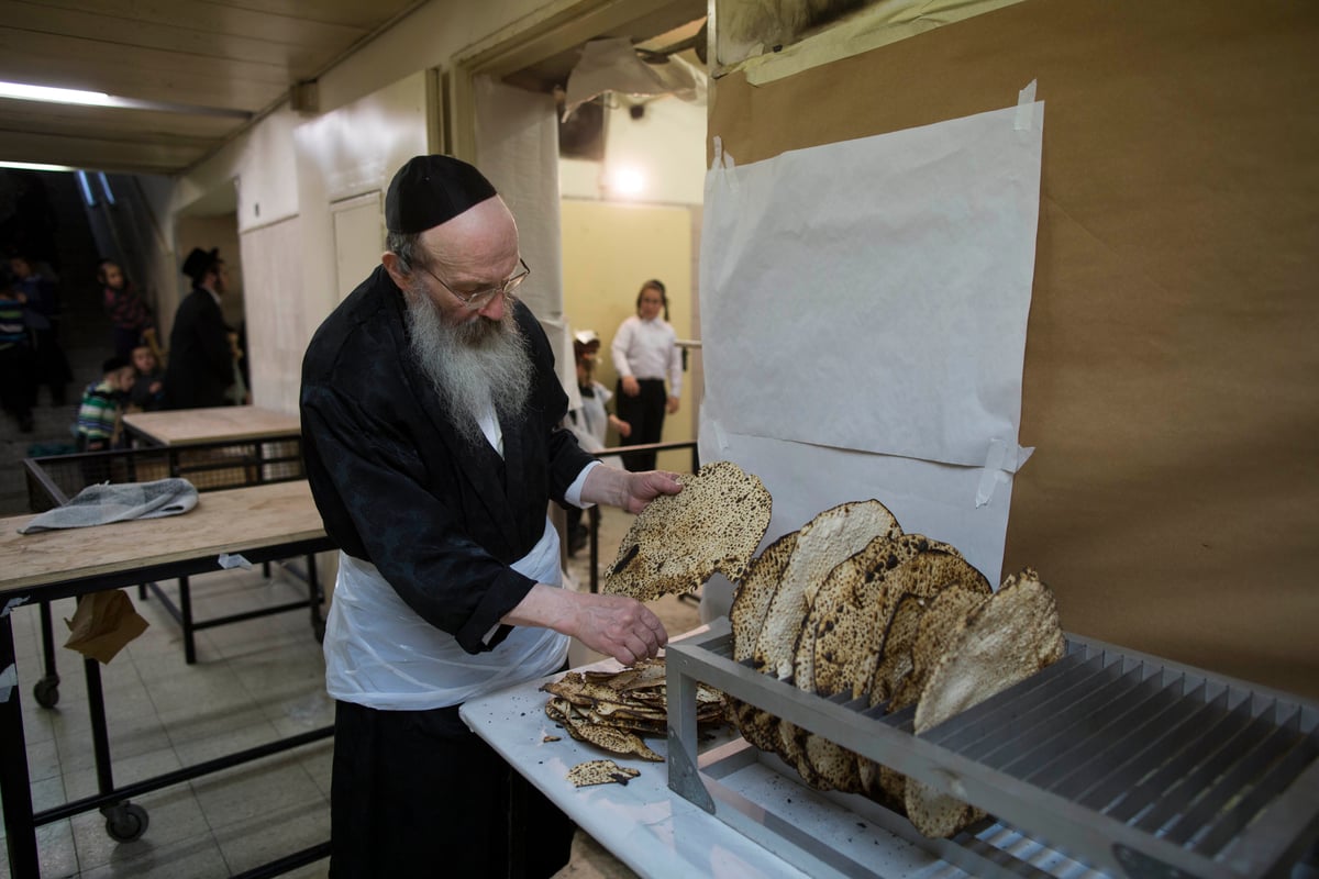 תיעוד: אפיית מצות בחסידות בעלזא