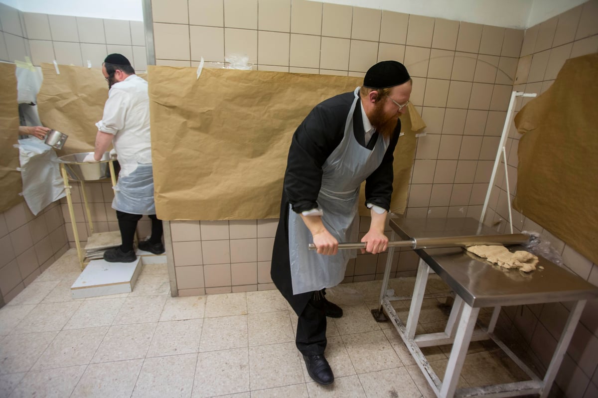 תיעוד: אפיית מצות בחסידות בעלזא