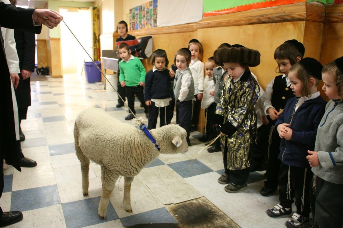 "והגדת לבנך": כך ממחישים לילדים את מנהגי פסח • תמונות