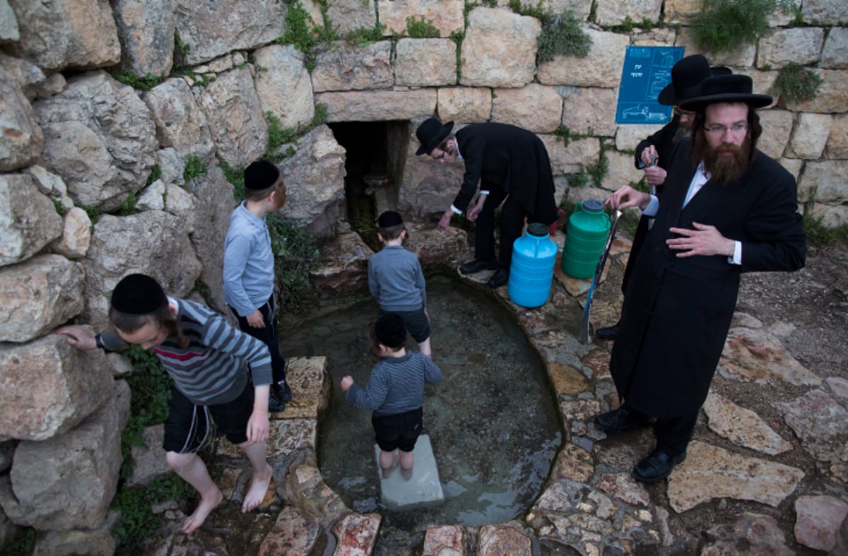 תמונות: אלו ששואבים ואלו שטובלים