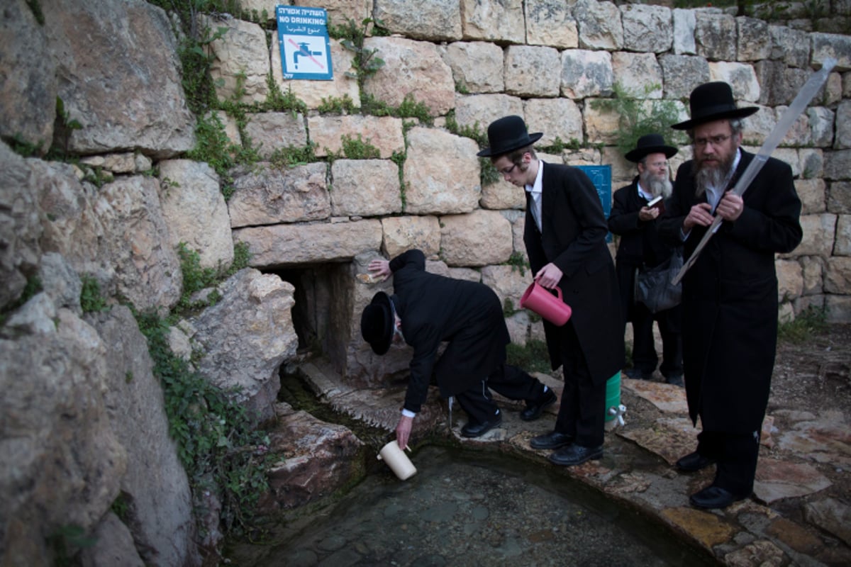 תמונות: אלו ששואבים ואלו שטובלים