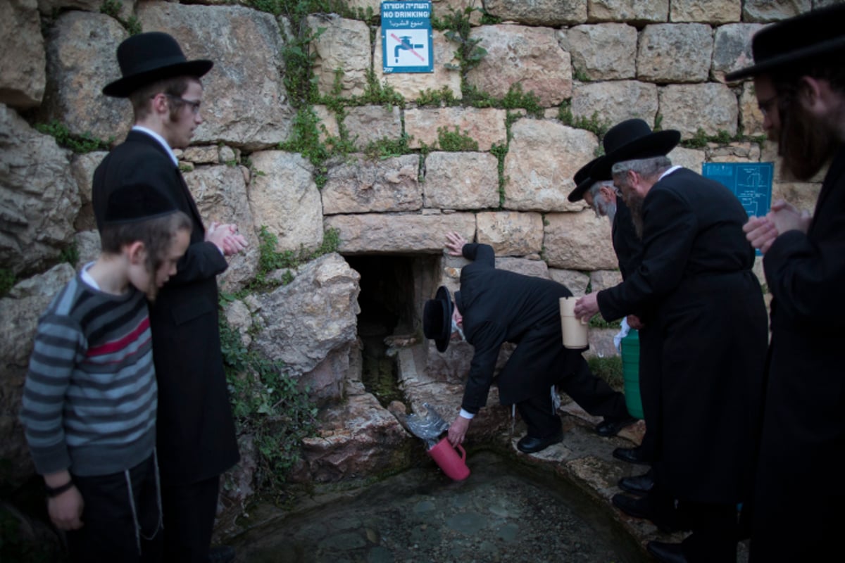 תמונות: אלו ששואבים ואלו שטובלים