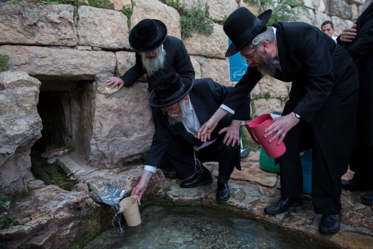 תמונות: אלו ששואבים ואלו שטובלים