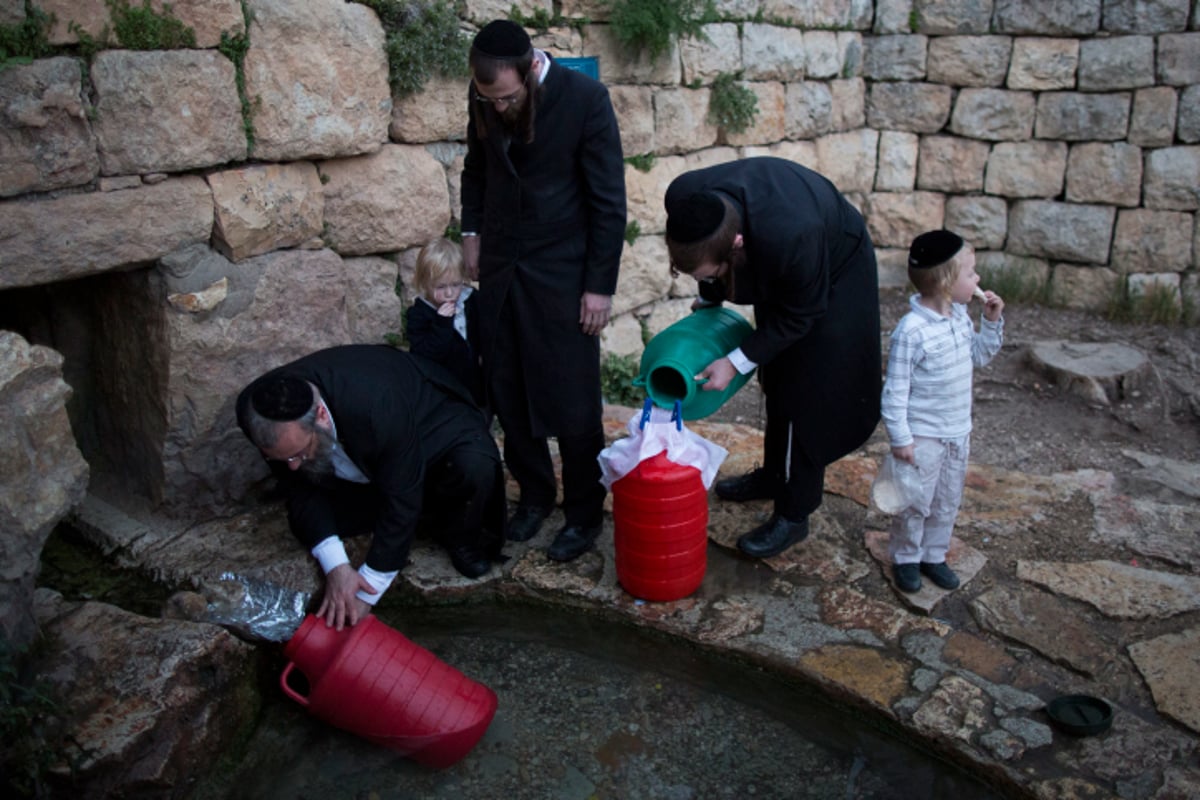 תמונות: אלו ששואבים ואלו שטובלים