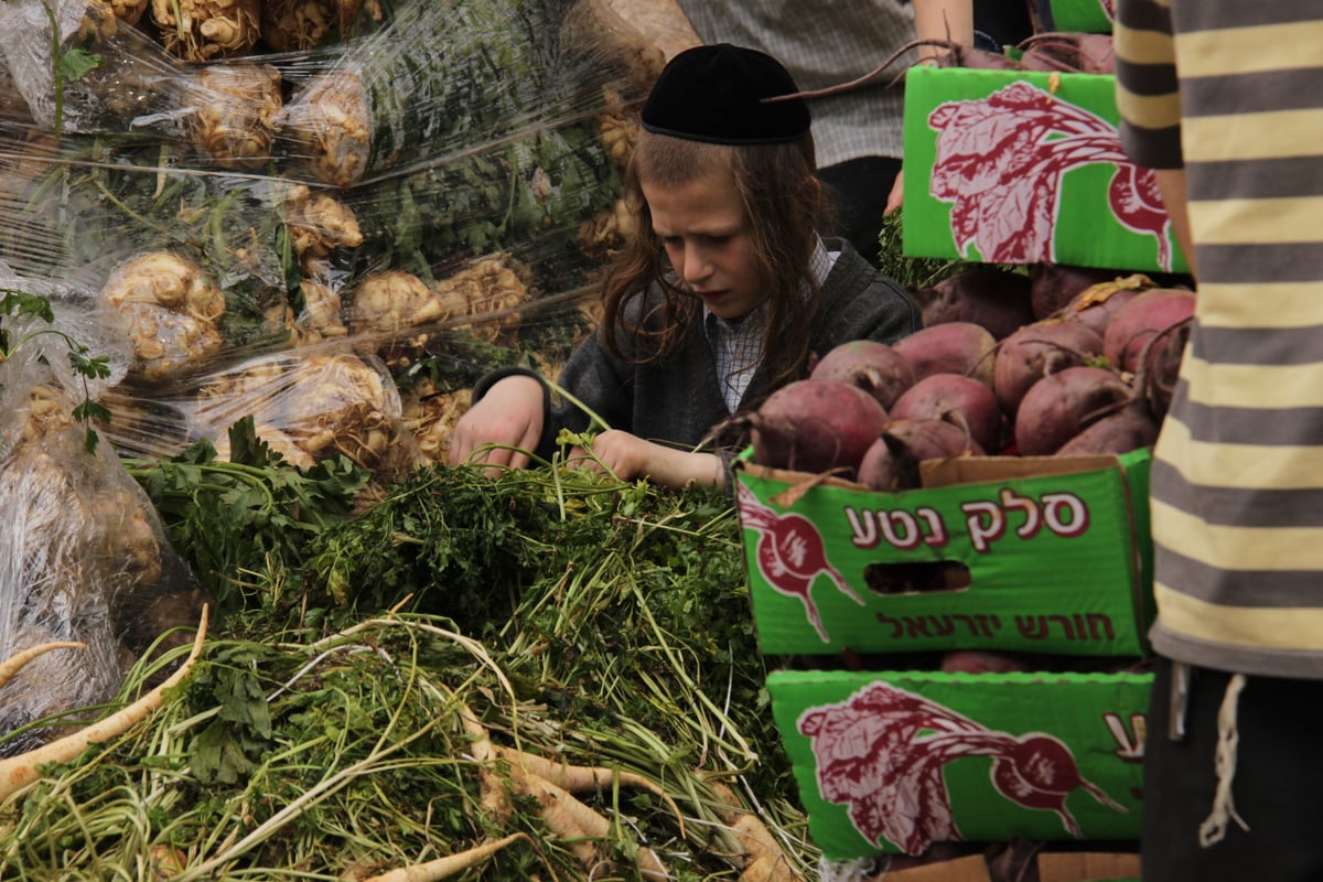 ערב פסח בירושלים. צפו בגלריה מיוחדת