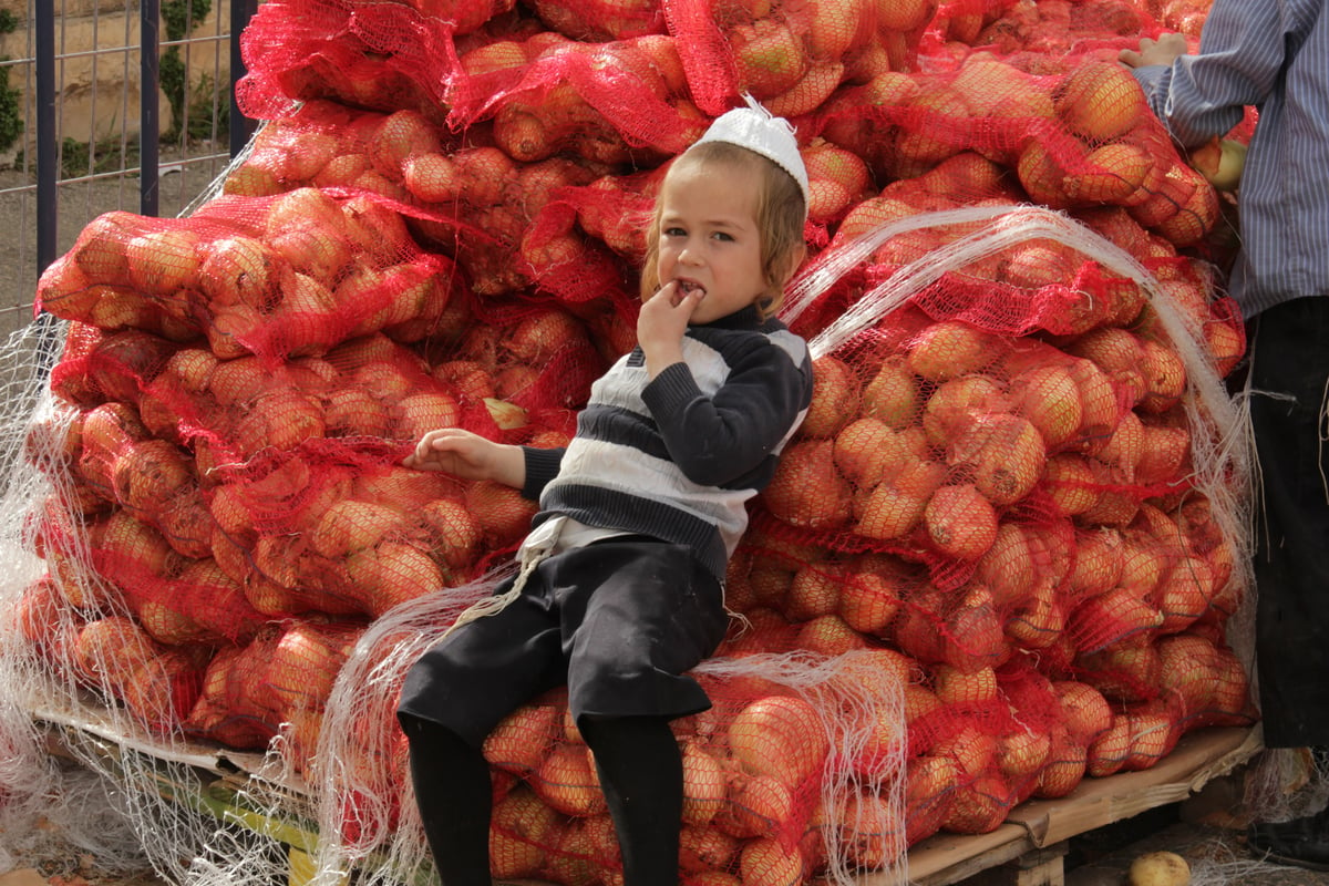 ערב פסח בירושלים. צפו בגלריה מיוחדת