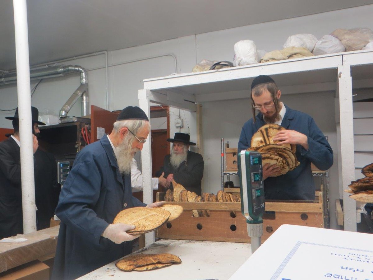 גלריה: אדמו"רים אופים מצות לקראת הפסח