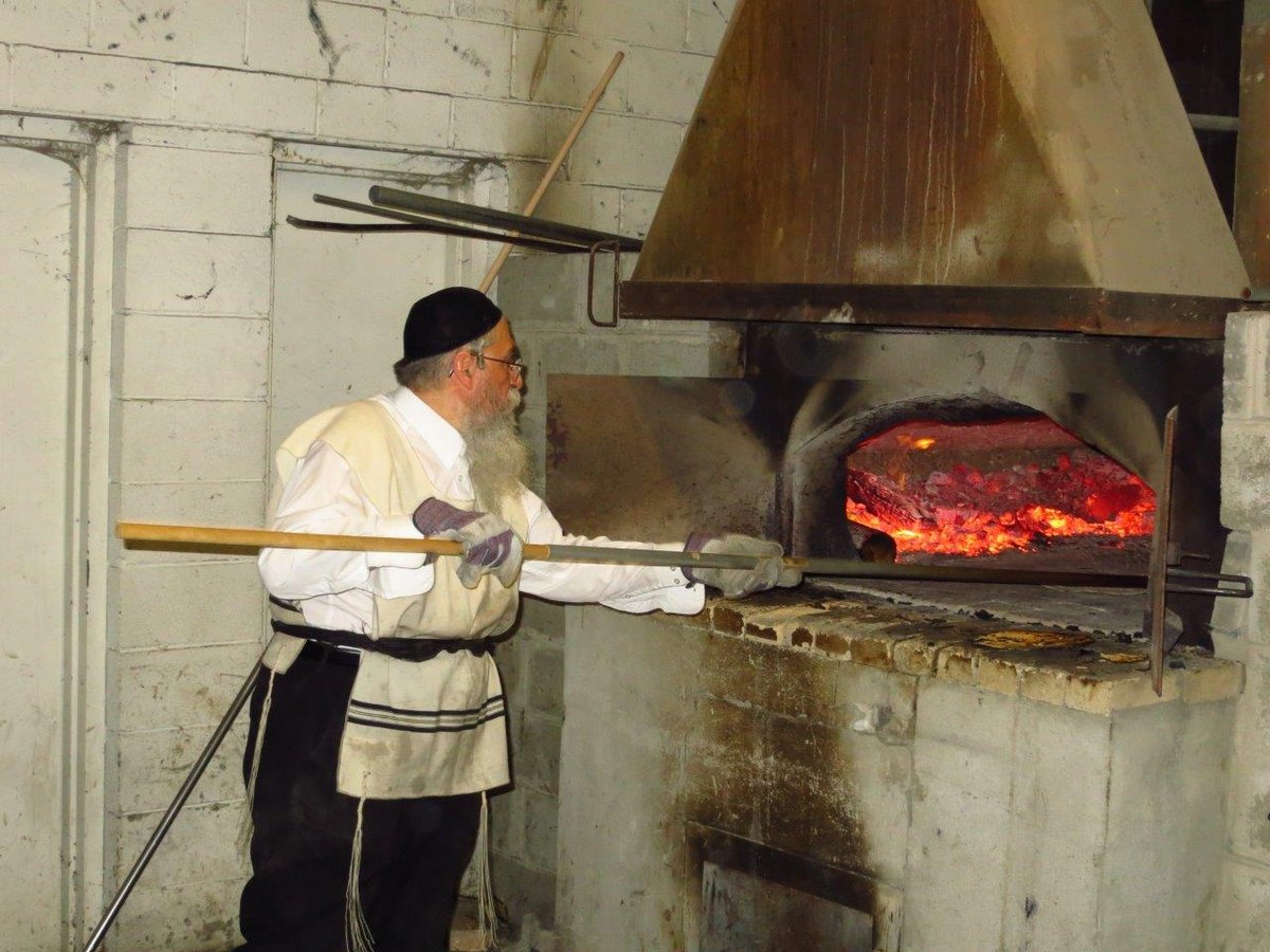 הכנות לפסח בסקווירא • תמונות