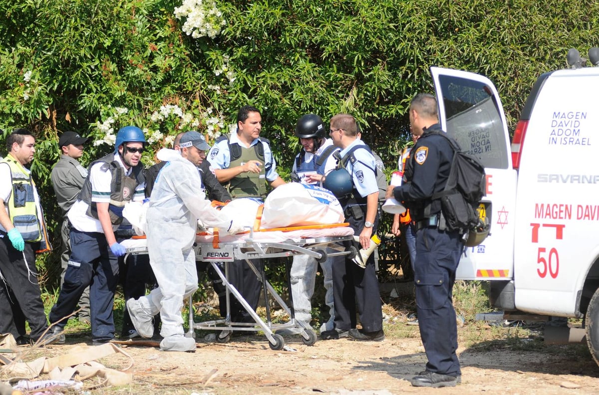 חיפה: עץ קרס על קבוצת מטיילים; אישה נהרגה