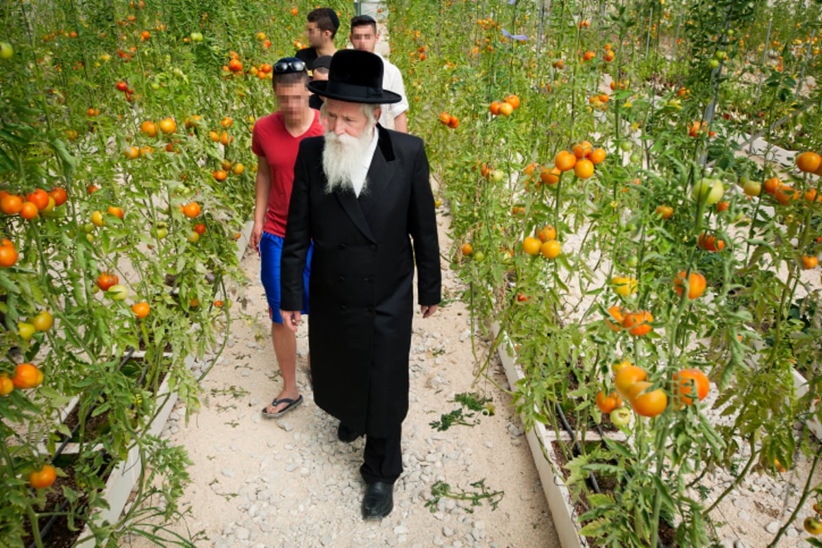 הרב יצחק דוד גרוסמן