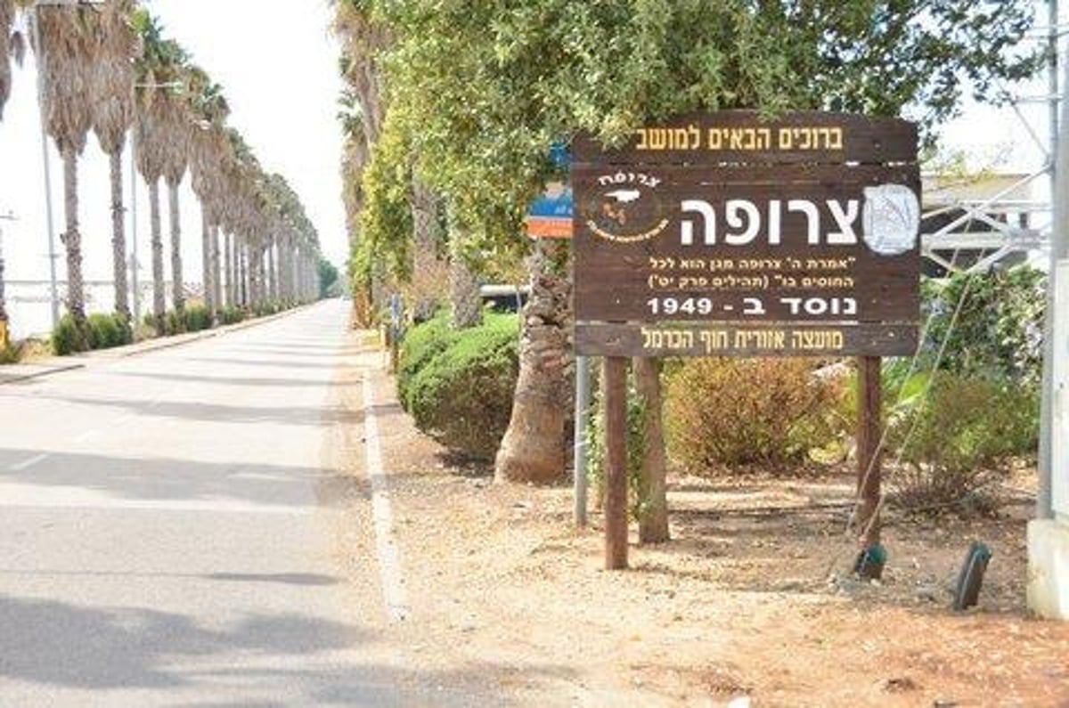 ערב שבת קודש בהר: גלריה מיוחדת מהשדות וההערכות לשמיטה • מרהיב