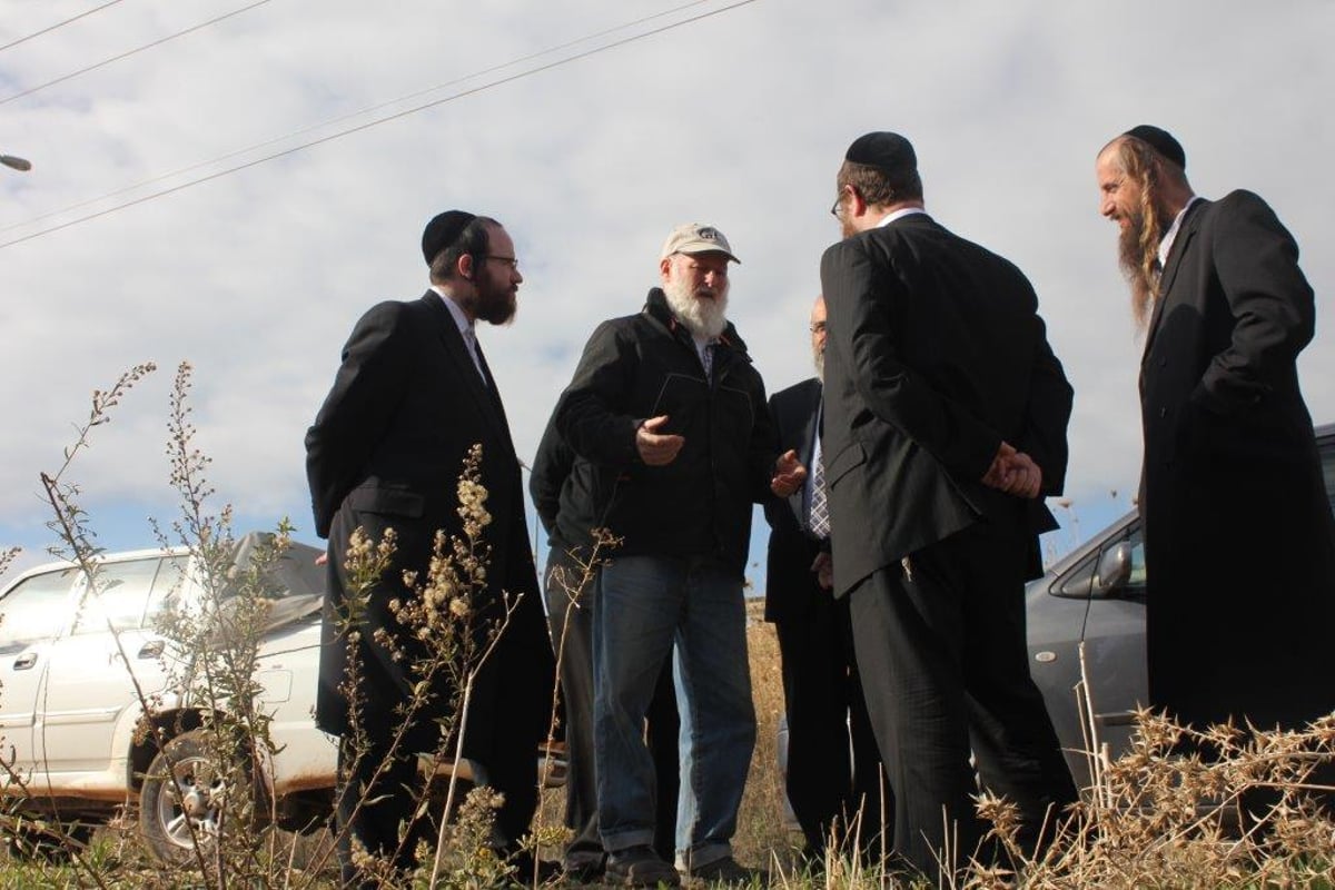 ערב שבת קודש בהר: גלריה מיוחדת מהשדות וההערכות לשמיטה • מרהיב