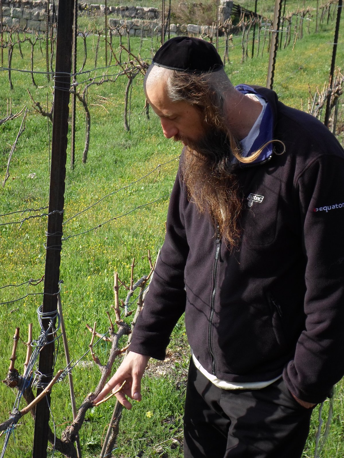 ערב שבת קודש בהר: גלריה מיוחדת מהשדות וההערכות לשמיטה • מרהיב