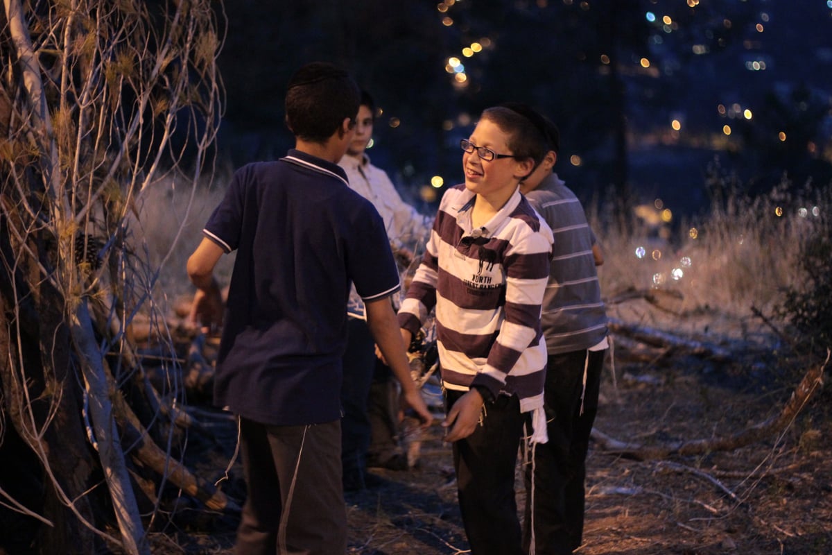 ילדי ירושלים אוספים עצים לל"ג בעומר; גלריה מיוחדת