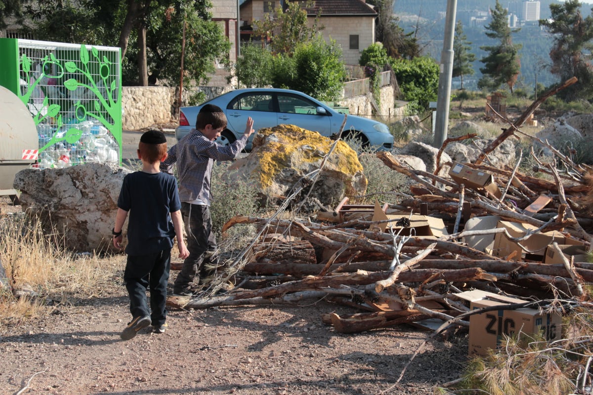 ילדי ירושלים אוספים עצים לל"ג בעומר; גלריה מיוחדת