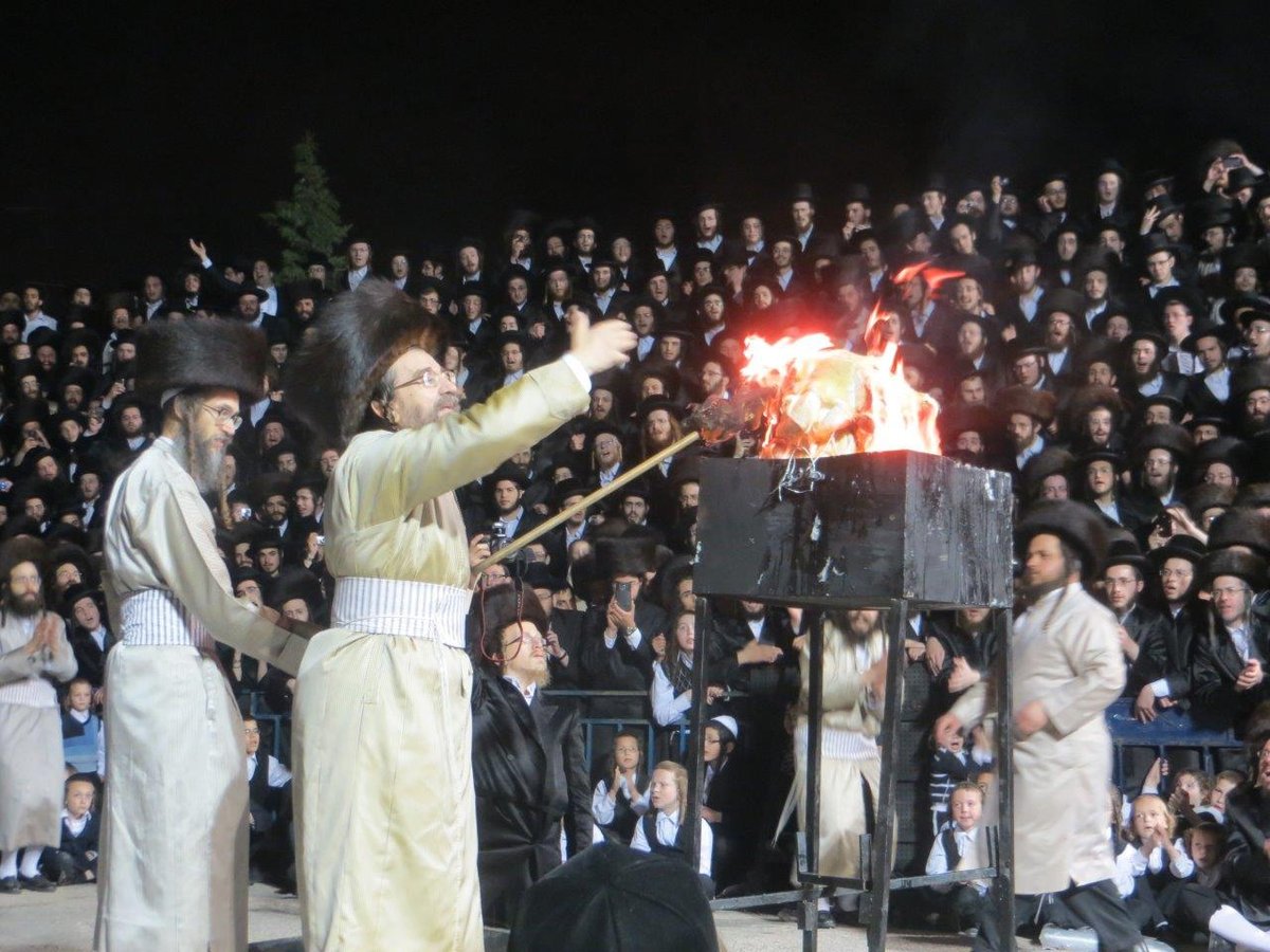 צפו: הדלקת המדורה שנרכשה ב-92 אלף דולר