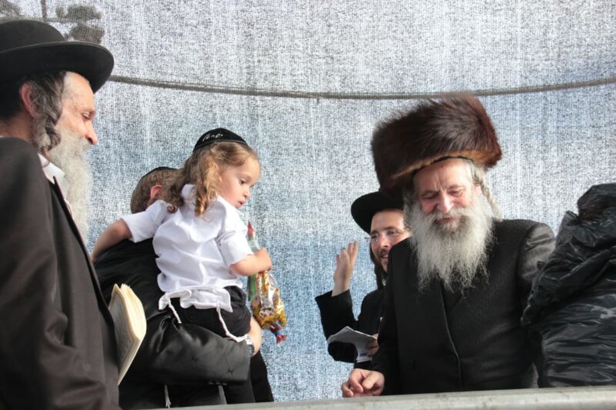 גלריה: הרב קעניג חוגג בציון הרשב"י במירון