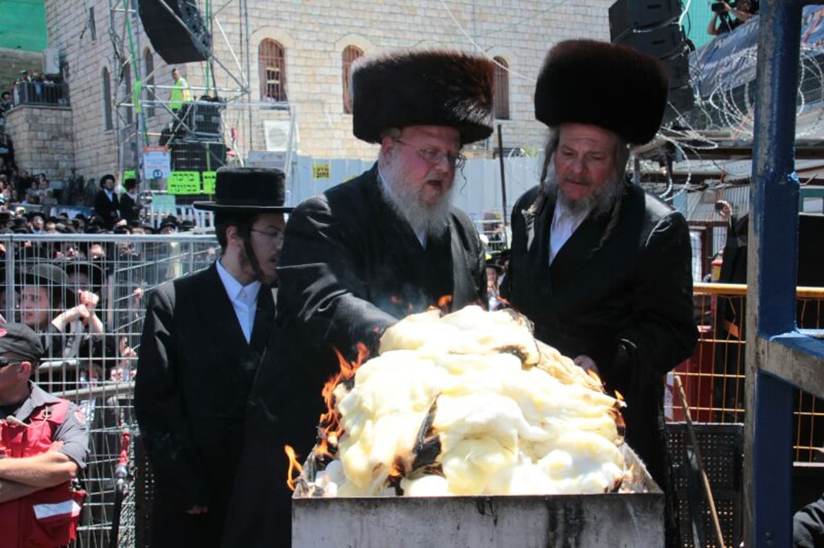 צפו: הדלקת האדמו"רים מסאסוב וקודינוב במירון