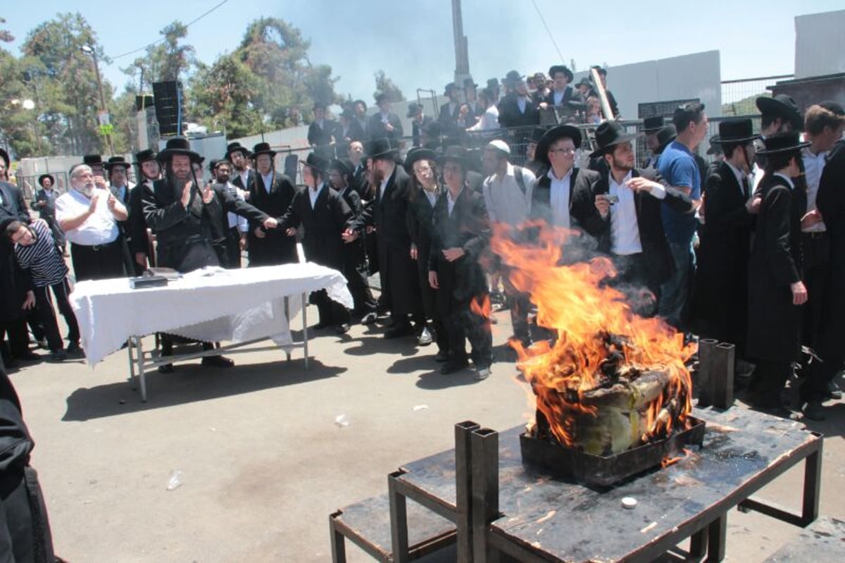 צפו: הדלקת האדמו"רים מסאסוב וקודינוב במירון