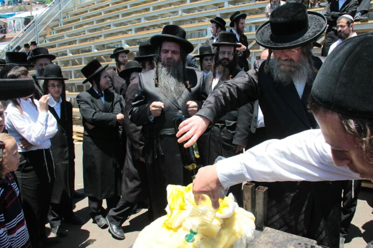 צפו: הדלקת האדמו"רים מסאסוב וקודינוב במירון