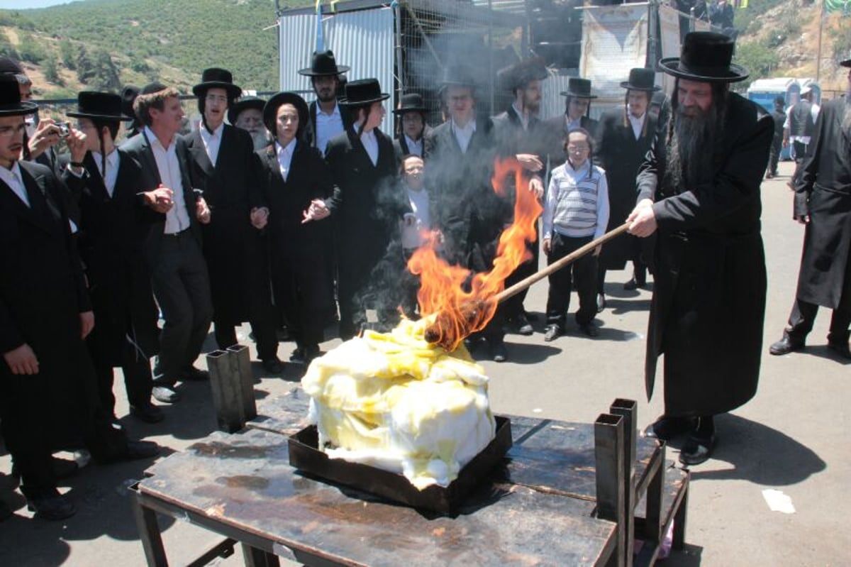 צפו: הדלקת האדמו"רים מסאסוב וקודינוב במירון