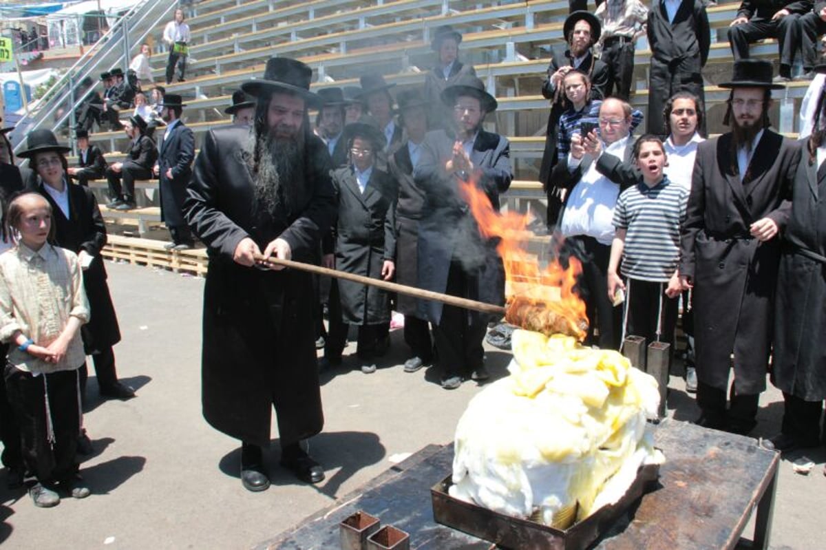 צפו: הדלקת האדמו"רים מסאסוב וקודינוב במירון