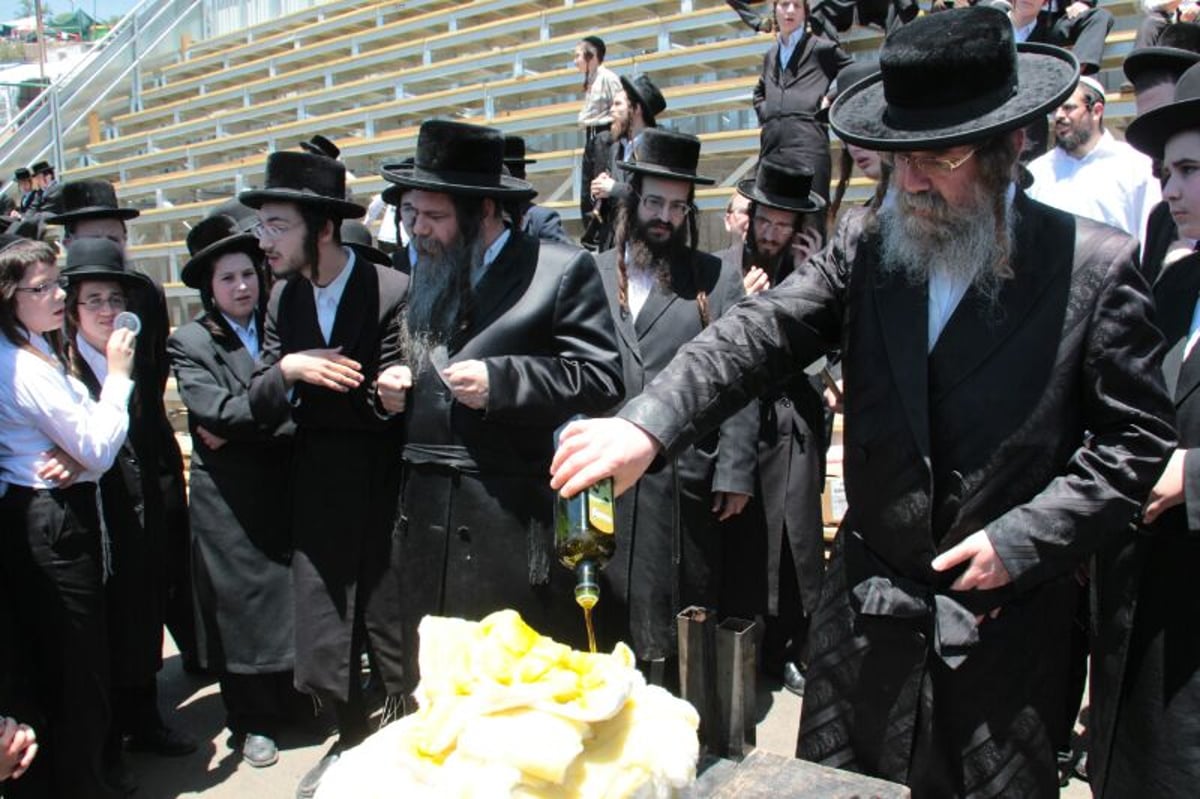 צפו: הדלקת האדמו"רים מסאסוב וקודינוב במירון