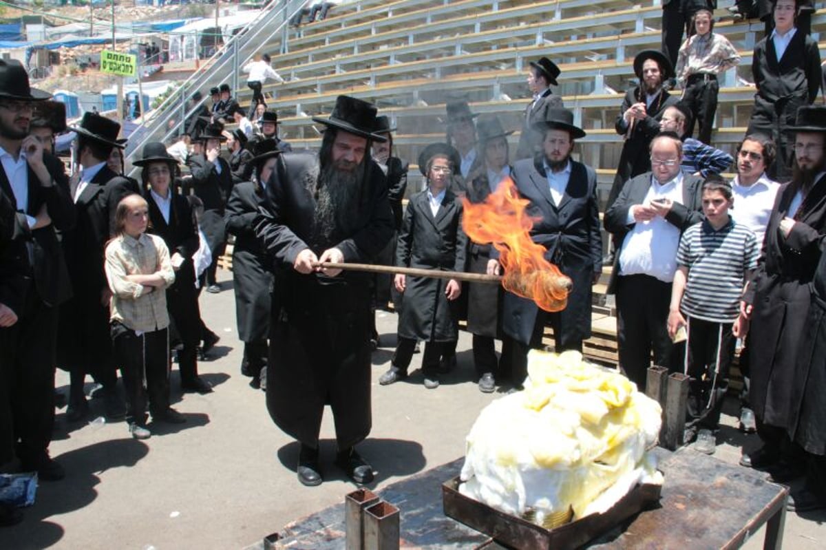 צפו: הדלקת האדמו"רים מסאסוב וקודינוב במירון