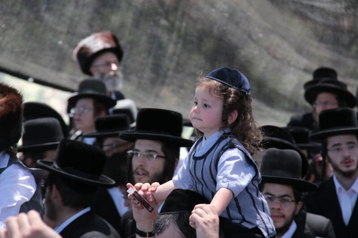 מרגש: ילדי החלאקה בציון הרשב"י במירון