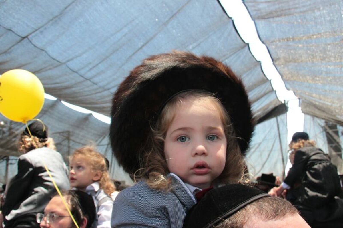 מרגש: ילדי החלאקה בציון הרשב"י במירון