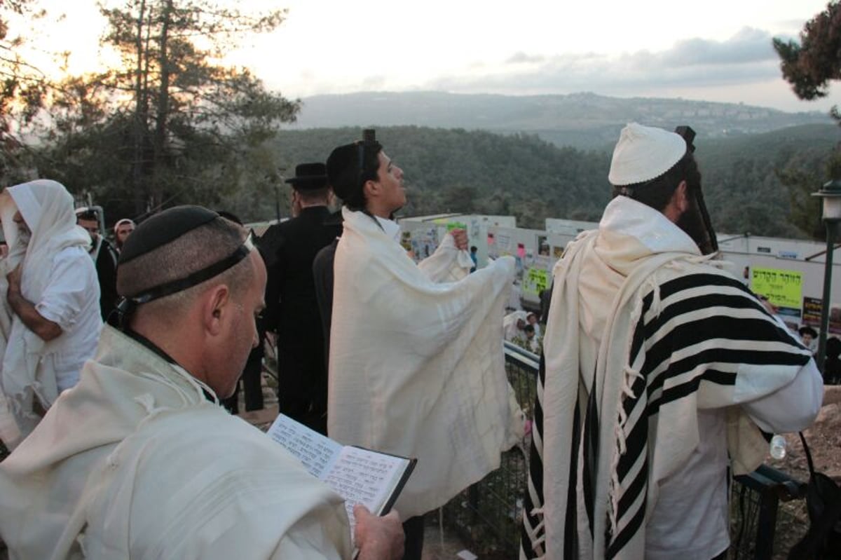 תיעוד ענק: תפילת שחרית סמוך לציון הרשב"י במירון